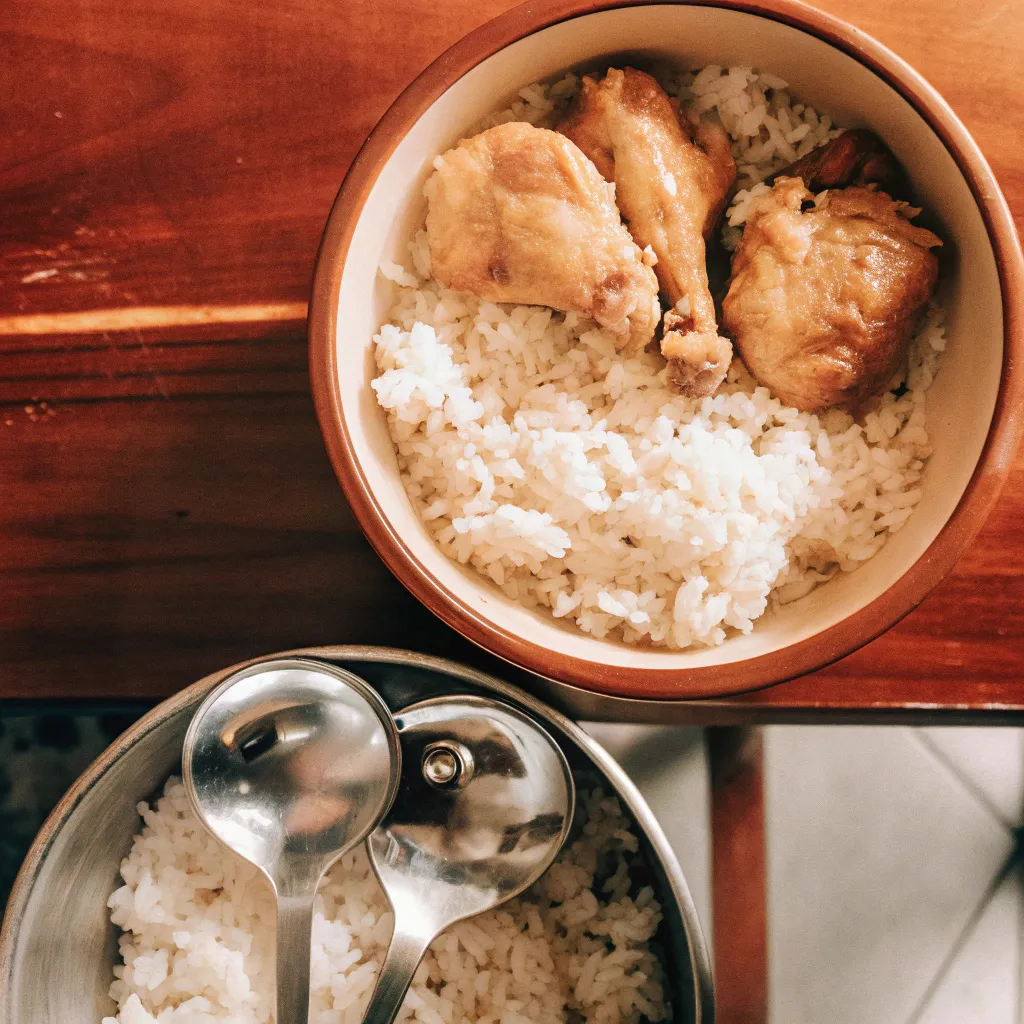Chicken and rice meal for dog with diarrhea